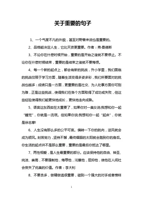 关于重要的句子