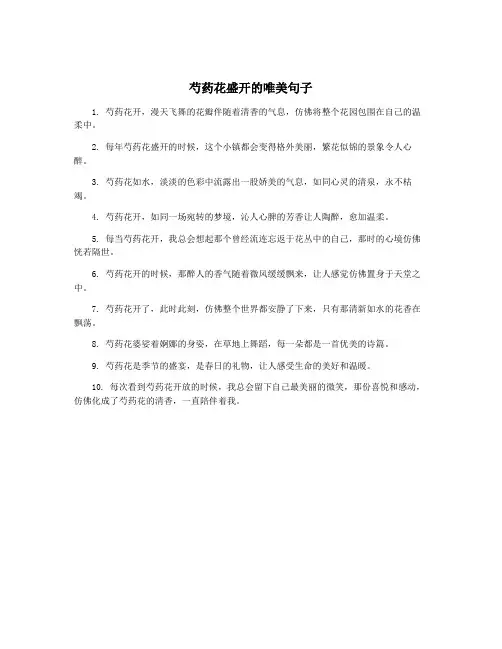 芍药花盛开的唯美句子