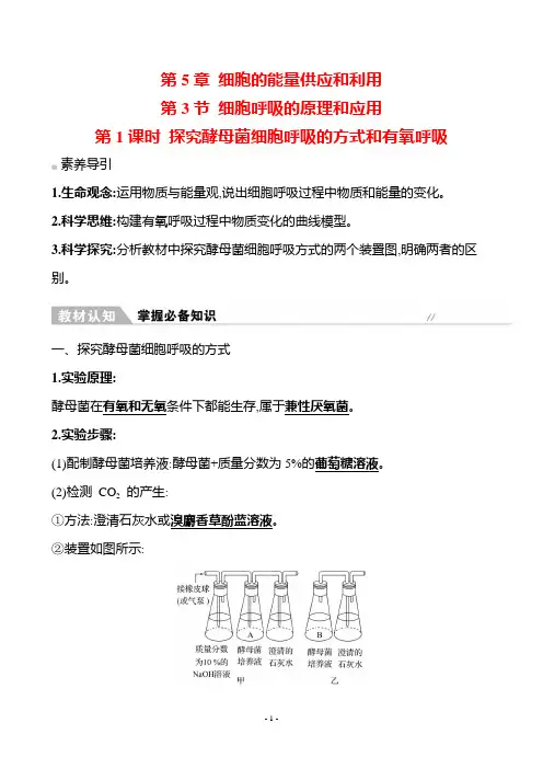 2022-2023学年  人教版 必修一 探究酵母菌细胞呼吸的方式和有氧呼吸 教案