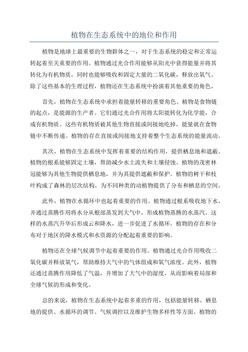 植物在生态系统中的地位和作用