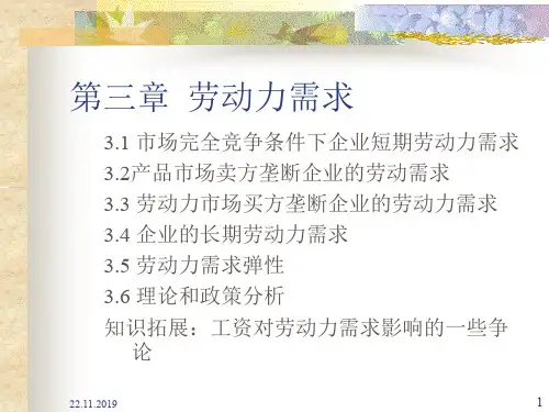 第三章劳动力需求-精品文档47页
