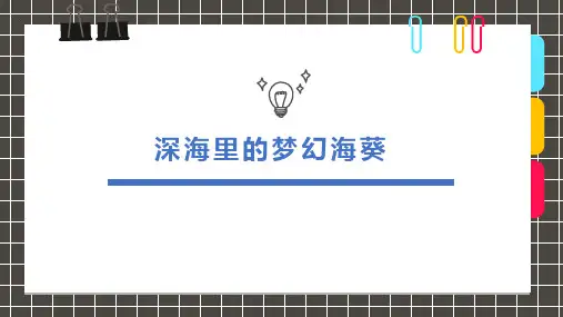 创意绘画《深海里的梦幻海葵》课件