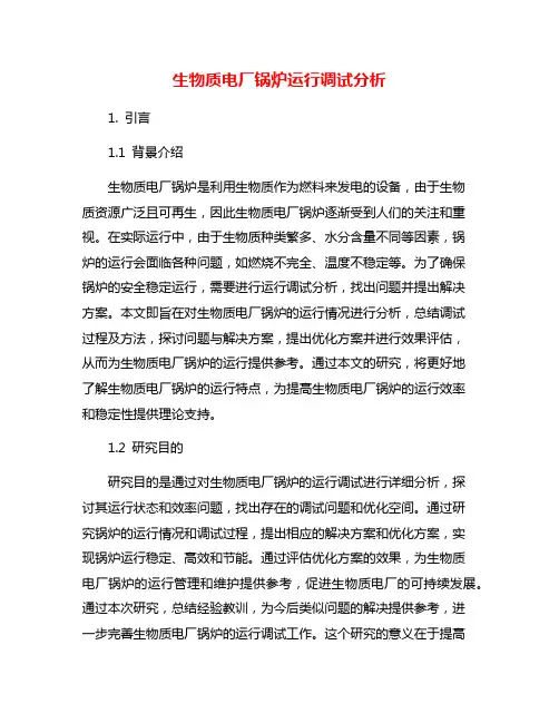 生物质电厂锅炉运行调试分析