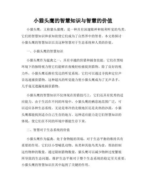 小猫头鹰的智慧知识与智慧的价值