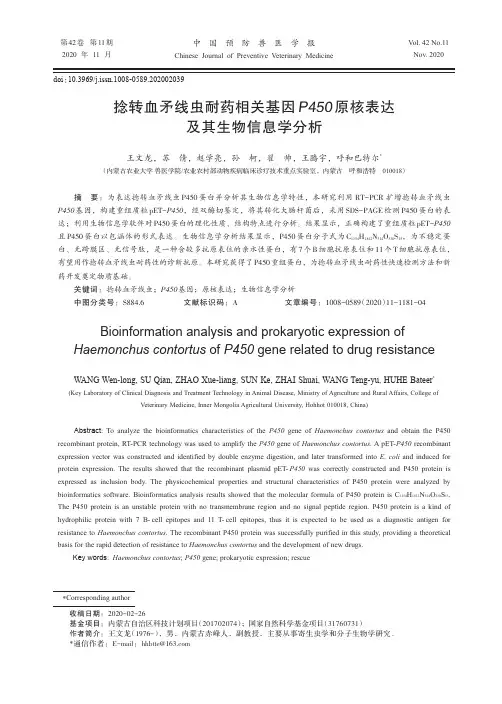 捻转血矛线虫耐药相关基因P450原核表达及其生物信息学分析