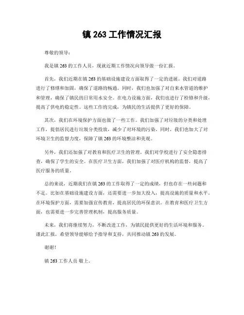 镇263工作情况汇报
