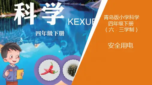 青岛版小学科学四年级下册《安全用电》公开课课件