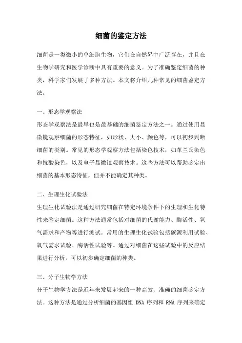 细菌的鉴定方法