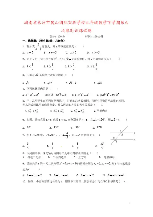湖南省长沙市麓山国际实验学校九年级数学下学期第六次限时训练试题