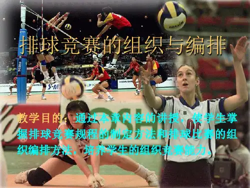 排球竞赛的组织与编排ppt课件