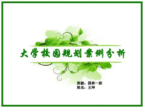 北京大学案件分析