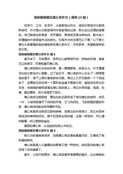 我的植物朋友蒲公英作文（通用14篇）