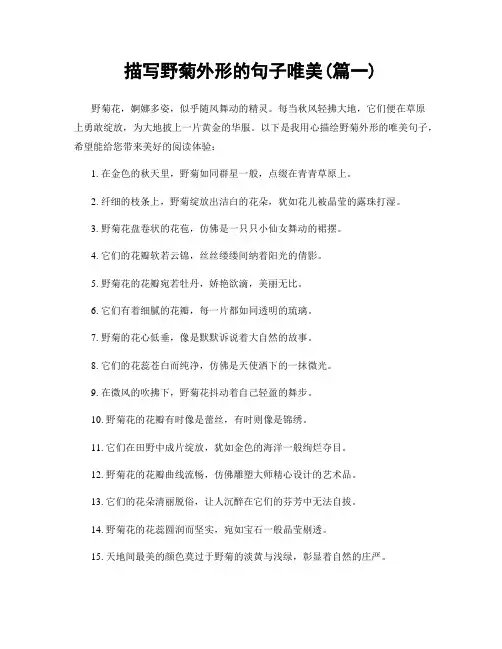 描写野菊外形的句子唯美(精选两篇)