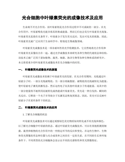 光合细胞中叶绿素荧光的成像技术及应用
