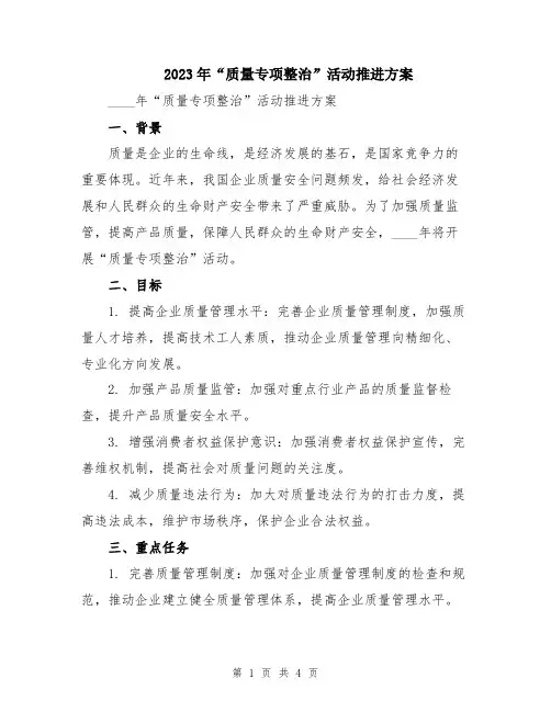 2023年“质量专项整治”活动推进方案