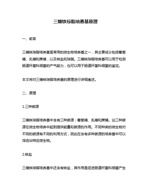 三糖铁琼脂培养基原理