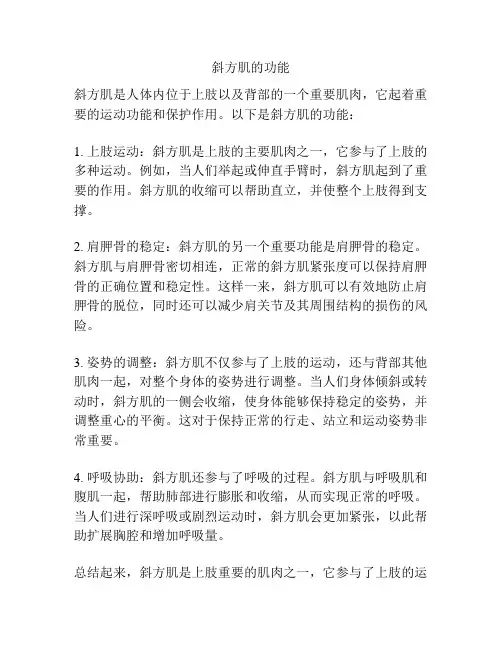 斜方肌的功能