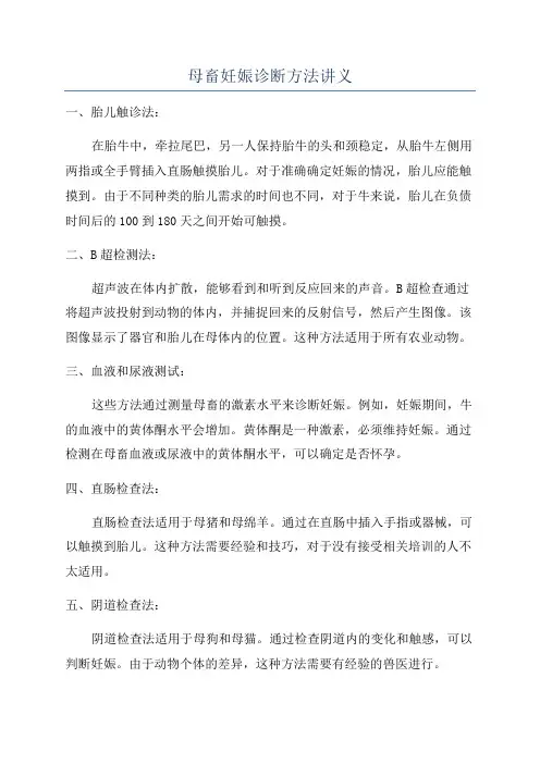 母畜妊娠诊断方法讲义
