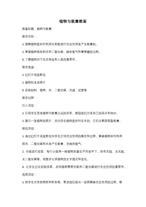 植物与能量教案