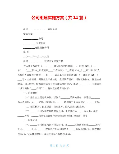 公司组建实施方案(共11篇)