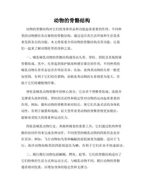 动物的骨骼结构