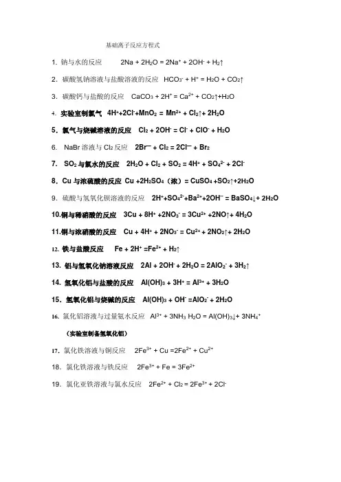 基础离子反应方程式