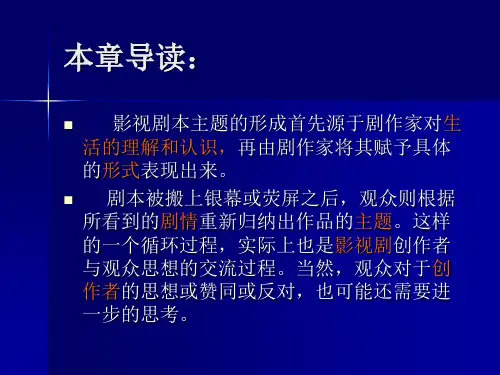 影视剧的主题和情节