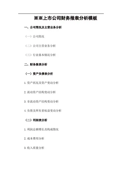 上市公司财务报表分析模板