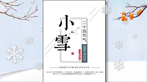 雪花树枝柿子背景的小雪节气介绍PPT模板