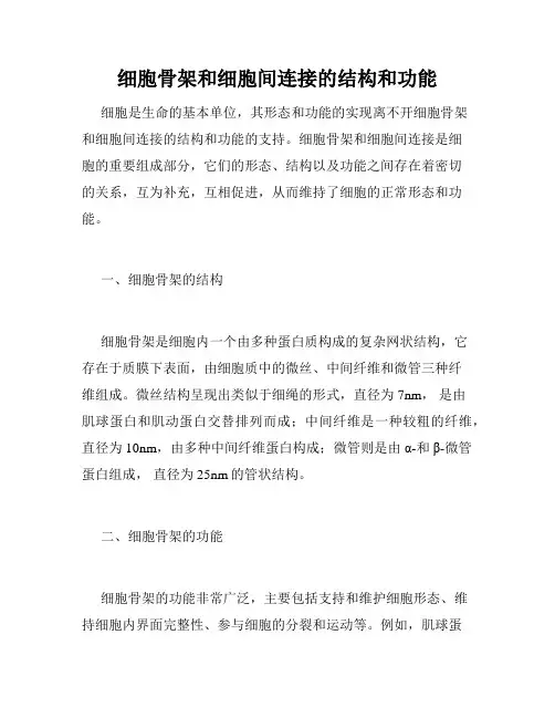 细胞骨架和细胞间连接的结构和功能