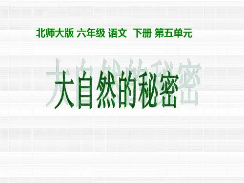 《大自然的秘密》PPT课件