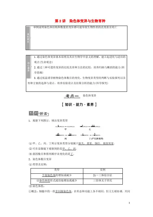高考生物一轮复习第7单元生物的变异育种与进化第2讲染色体变异与生物育种学案