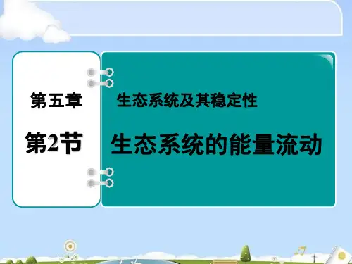 人教版生物 必修三 5.2生态系统的能量流动(共28张ppt)