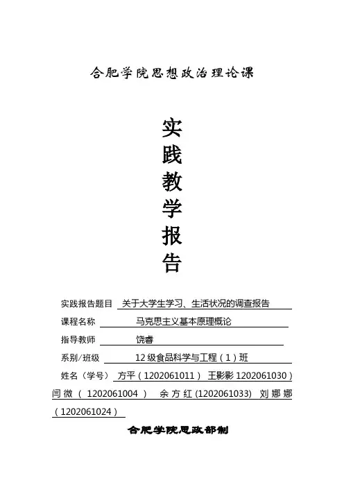 合肥大学生幸福观调查报告