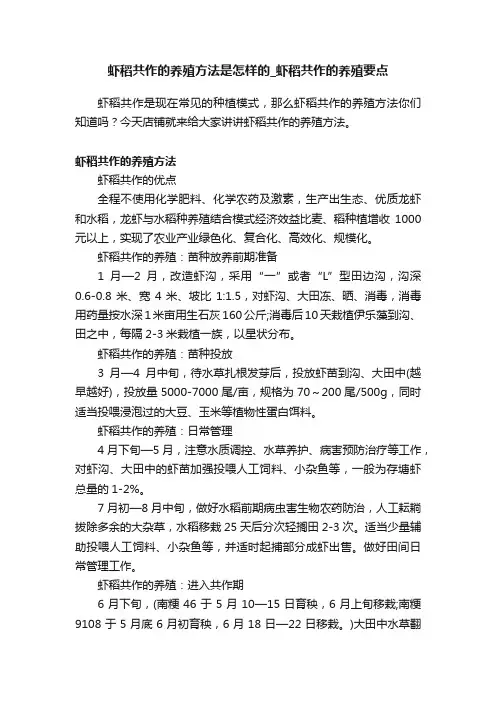 虾稻共作的养殖方法是怎样的_虾稻共作的养殖要点