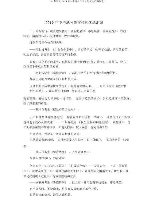 中考作文-2019年中考满分作文佳句精选汇编精品
