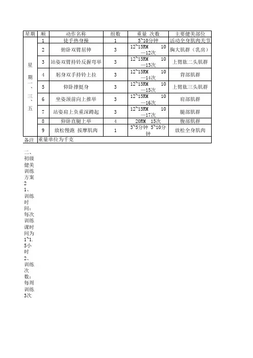 初级健美训练方案