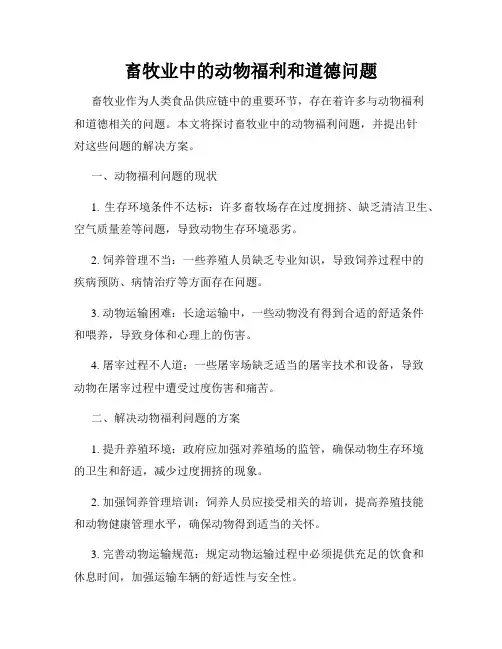 畜牧业中的动物福利和道德问题