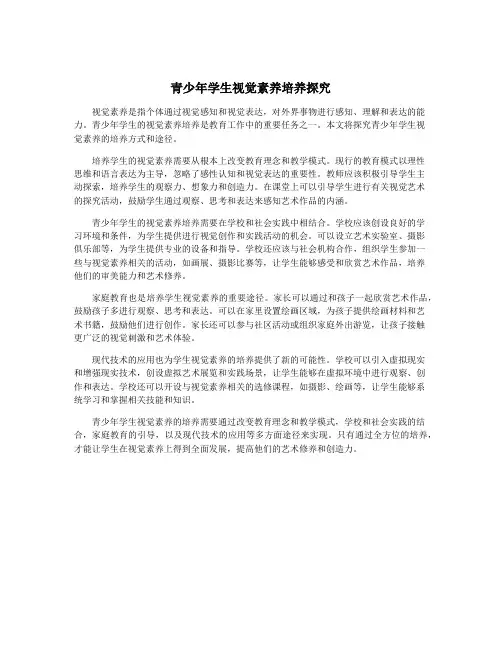 青少年学生视觉素养培养探究