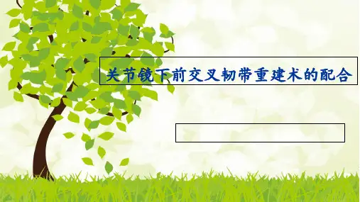 关节镜下前交叉韧带重建术的配合课件