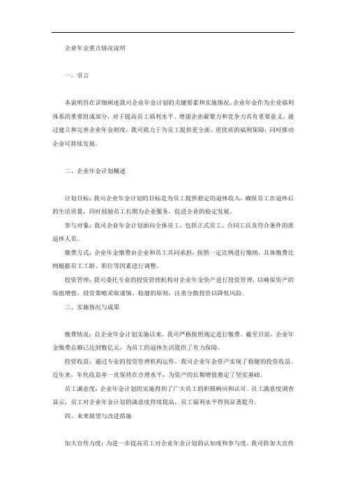 企业年金重点情况说明模板