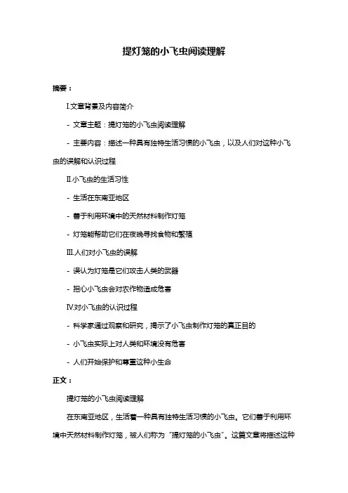 提灯笼的小飞虫阅读理解
