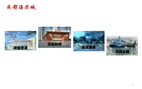 成都商业成都海滨城