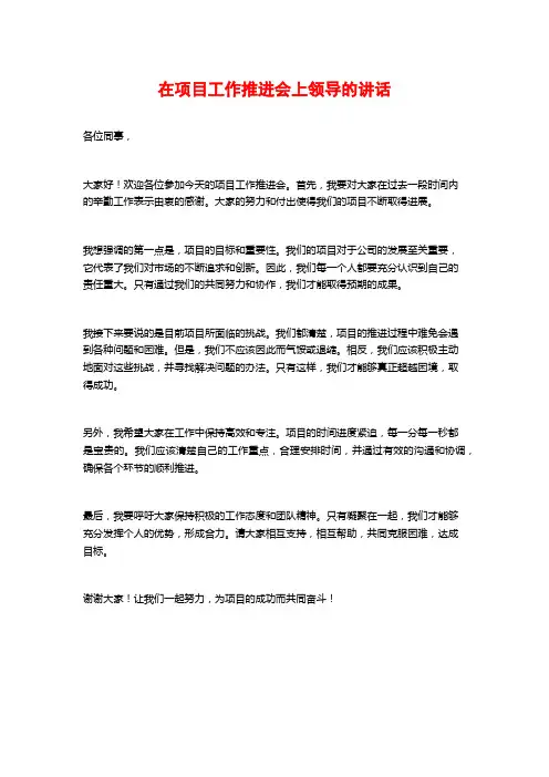 在项目工作推进会上领导的讲话