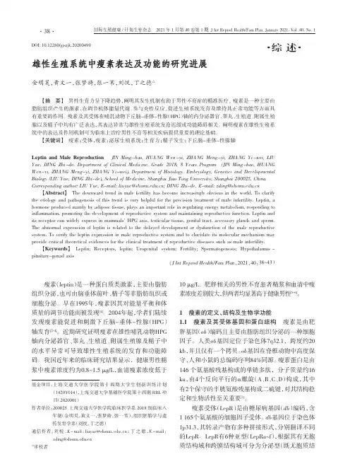 雄性生殖系统中瘦素表达及功能的研究进展