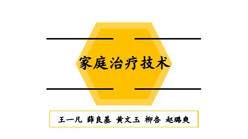 家庭治疗