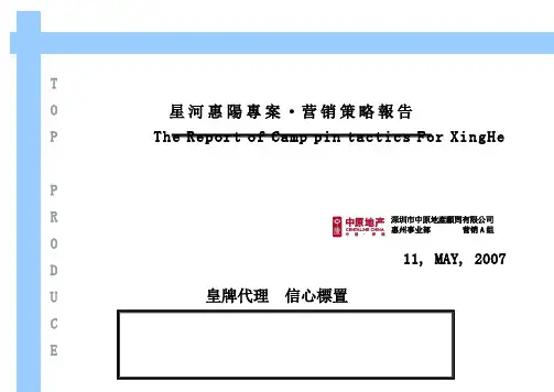 中原星河惠阳专案之营销策略报告(doc51)
