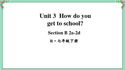 人教版英语七年级下册Unit 3 Section B(2a-2d)新版课件