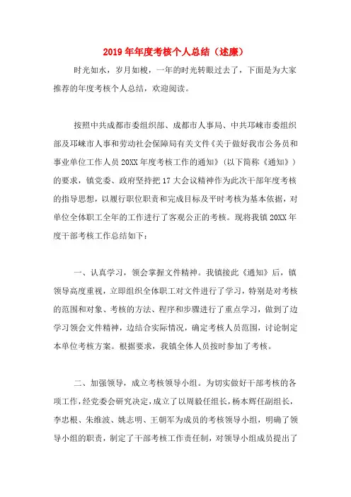 2019年年度考核个人总结(述廉)