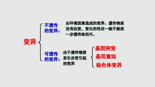 基因突变与基因重组染色体变异